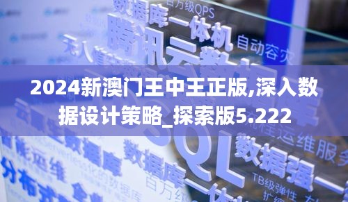 2024新澳门王中王正版,深入数据设计策略_探索版5.222