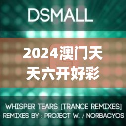 2024澳门天天六开好彩开奖,诠释说明解析_RemixOS6.293
