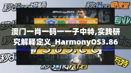 澳门一肖一码一一子中特,实践研究解释定义_HarmonyOS3.868