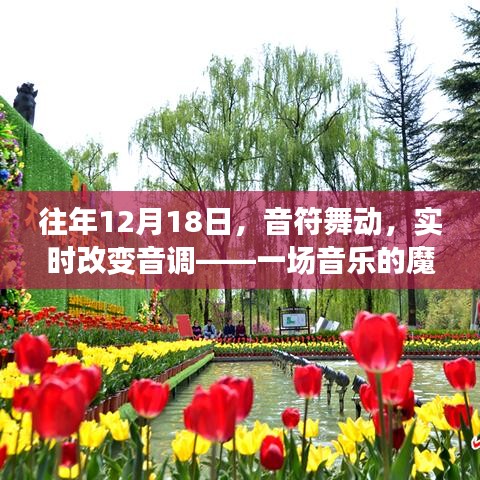 音乐魔法之夜，实时变调，音符舞动盛宴