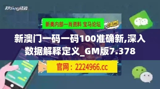 新澳门一码一码100准确新,深入数据解释定义_GM版7.378