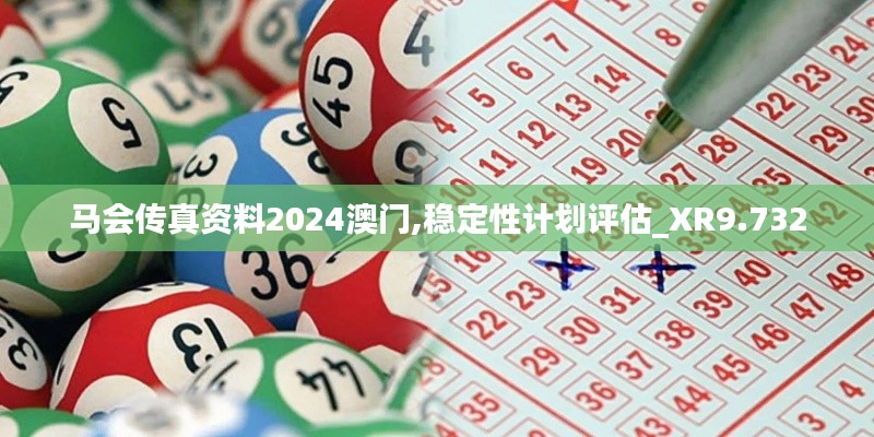 马会传真资料2024澳门,稳定性计划评估_XR9.732