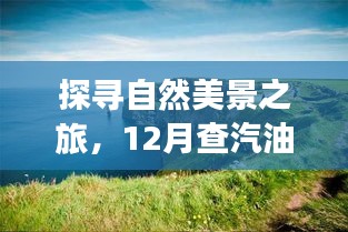 探寻自然美景之旅，油价查询与心灵平静之旅启程