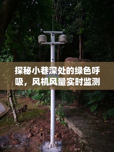 探秘小巷深处的绿色呼吸，风机风量实时监测揭秘之旅