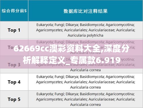 62669cc澳彩资料大全,深度分析解释定义_专属款6.919