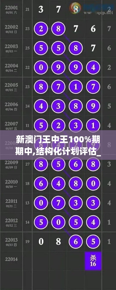 新澳门王中王100%期期中,结构化计划评估_KP8.319