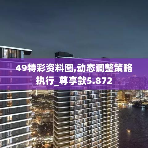 49特彩资料图,动态调整策略执行_尊享款5.872