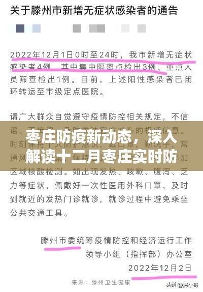 枣庄十二月防疫动态解析，深入解读最新防疫情况通报