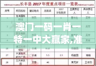 澳门一码一肖一特一中大羸家,准确资料解释定义_DP5.388