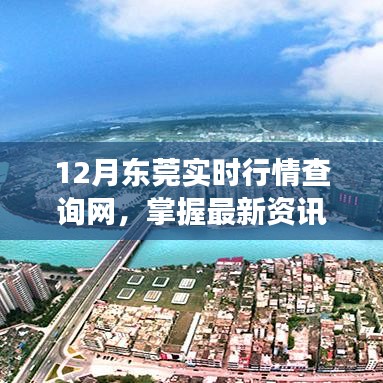 掌握最新资讯，洞悉市场趋势，东莞实时行情查询网发布最新资讯