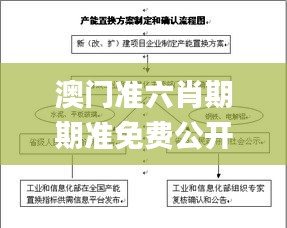 澳门准六肖期期准免费公开,快速实施解答策略_VIP1.541