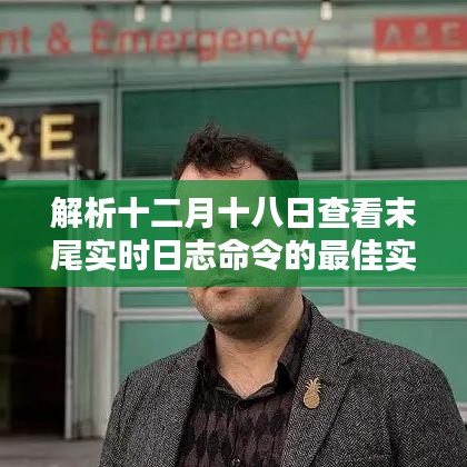 解析十二月十八日实时日志末尾查看的最佳实践，某某观点探讨