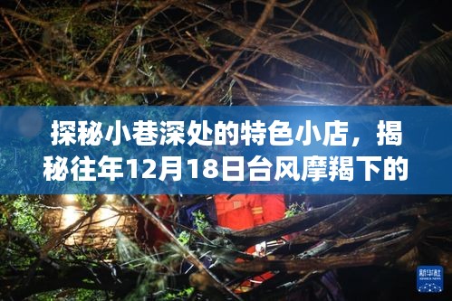 探秘小巷美食宝藏，台风摩羯下的隐藏美食在往日重现