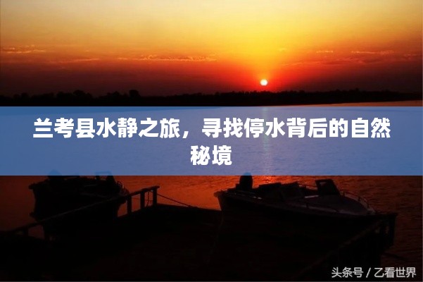 兰考县水静之旅，探寻停水背后的神秘自然之旅