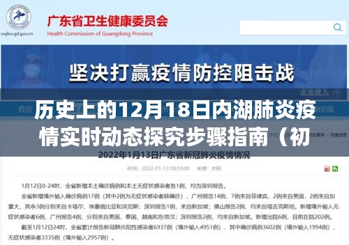 历史上的12月18日内湖肺炎疫情实时动态探究，初学者与进阶用户的步骤指南