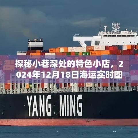探秘小巷特色小店与海运实时图的惊喜奇遇，2024年12月18日纪实