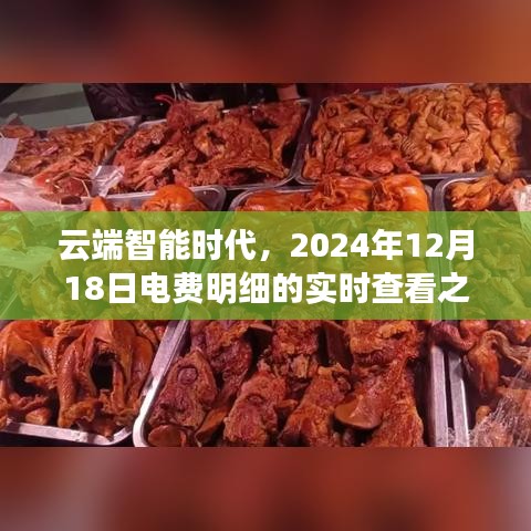 云端智能时代电费实时查看之旅，2024年12月18日明细揭秘