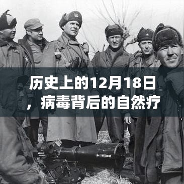 12月18日，自然疗愈之旅与内心平静的奇妙探险，探寻病毒背后的历史记忆