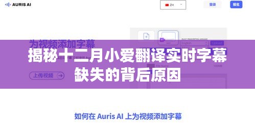 揭秘十二月小爱翻译实时字幕缺失的背后真相