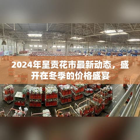 2024年呈贡花市冬季价格盛宴，最新动态与盛开盛景