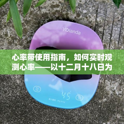 心率带使用指南，实时观测心率的方法与步骤（以十二月十八日为例）