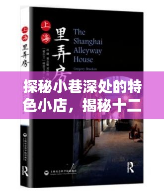 探秘小巷深处的特色小店，揭开十二月实时转账的神秘面纱
