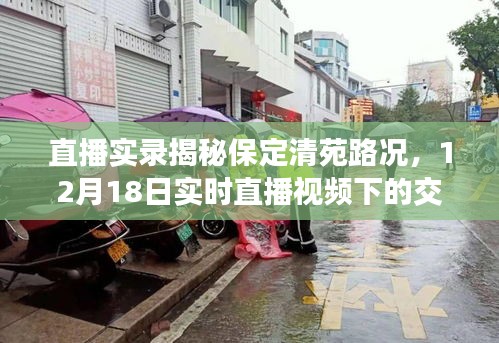 直播实录，保定清苑路况揭秘与12月18日实时交通真相探索