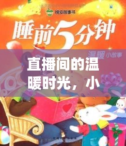 直播间的温暖时光，小猫的十二月十八日日常纪实