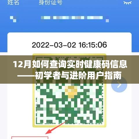 12月实时健康码信息查询指南，初学者与进阶用户步骤详解