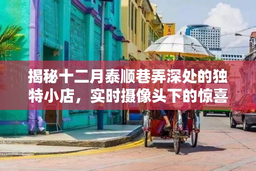 十二月泰顺巷弄深处的惊喜小店，实时摄像头下的独特发现之旅