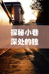探秘小巷深处的独特风情，揭秘百度实时播放背后的故事——历史上的十二月十八日