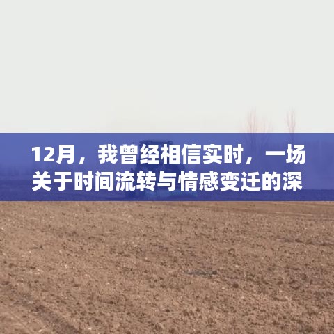 12月深刻体验，时间流转与情感变迁的实时之旅