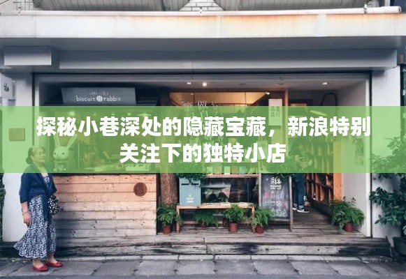 探秘小巷深处的隐藏宝藏，新浪关注下的独特小店之旅