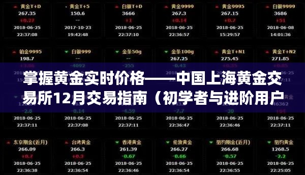 掌握黄金实时价格，中国上海黄金交易所12月交易指南（适合初学者与进阶用户）