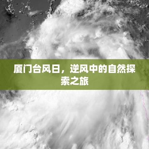 厦门台风日，逆风中的自然探险之旅