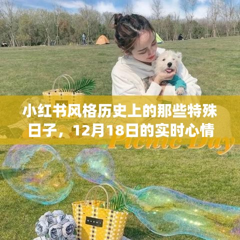 小红书风格下的特殊日子，12月18日的实时心情记录之旅