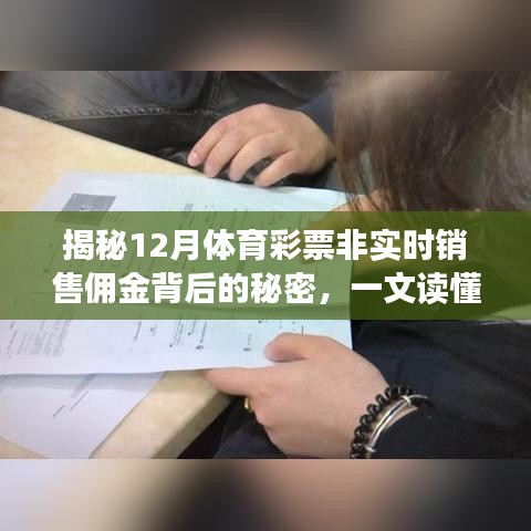 揭秘体育彩票非实时销售佣金内幕，细节全解析！