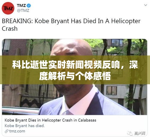 科比逝世引发的反响，实时新闻视频深度解析与个人感悟