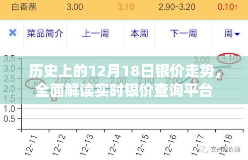 历史上的银价走势解析，实时银价查询平台的全面解读