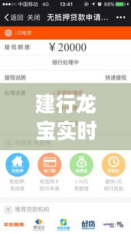 建行龙宝实时到账详解，关于特定日期到账金额解析及案例分享