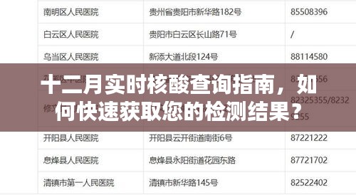 十二月核酸检测指南，快速获取检测结果的方法