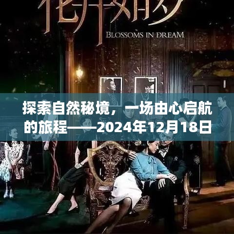自然秘境探索，心灵之旅的实时曝光纪实之旅（2024年12月18日）