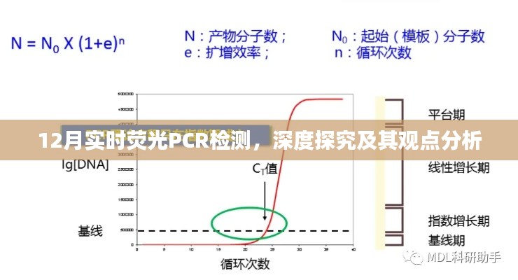 深度探究，实时荧光PCR检测在十二月的进展与观点分析