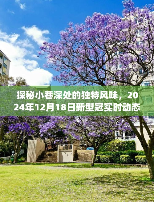 探秘小巷深处的独特风味，美食秘境与新型冠实时动态下的隐藏美食体验