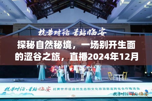 探秘自然秘境，涩谷之旅直播揭秘宁静时光（2024年12月18日）