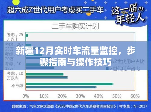 新疆12月车流量监控实操指南，步骤与操作技巧