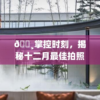 揭秘十二月最佳拍照监控软件，掌控时刻，体验科技巨擘革新魅力