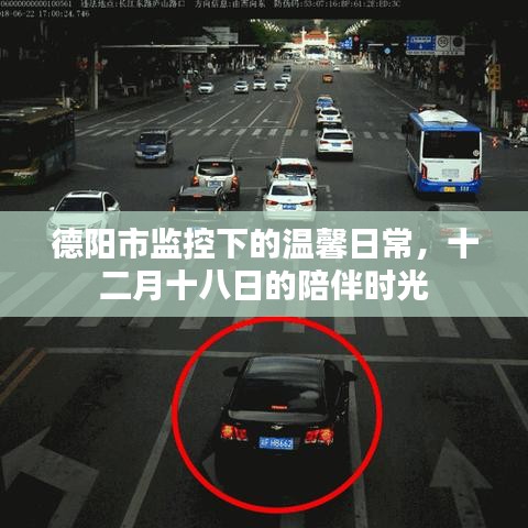 德阳市温馨日常监控下的陪伴时光——十二月十八日的记录
