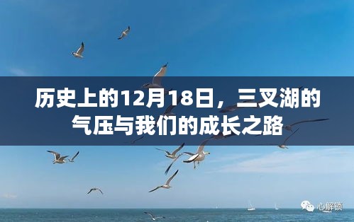 三叉湖的气压与成长之路，历史视角下的成长印记 12月18日回顾
