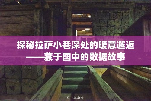 探秘拉萨小巷深处的暖意邅，数据背后的故事